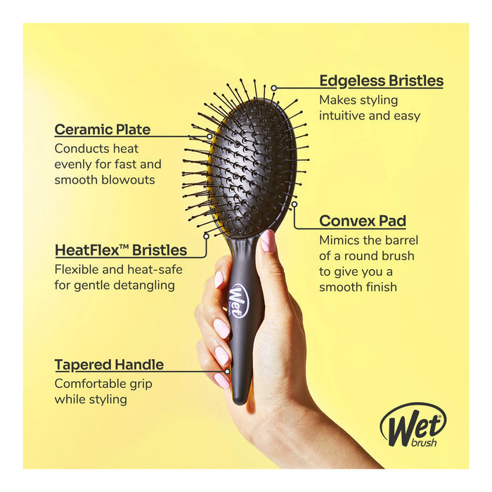 Wet Brush Easy Blowout Brush