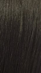 ITS A WIG straight dark brown wig close up showing smooth hair texture and ends HD lace wig 13x4