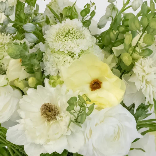Wildflower Wishes Diy Flower Kit Close Up - Image
