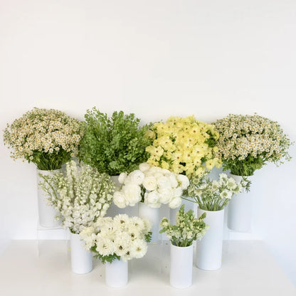 Wildflower Wishes Diy Flower Kit Other - Image