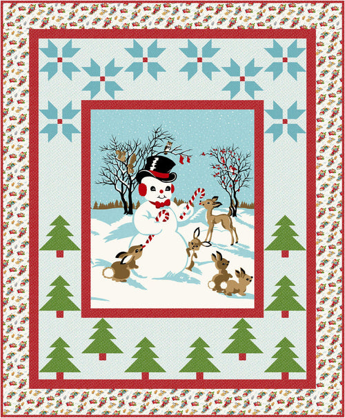 Winter All Around Pattern #543