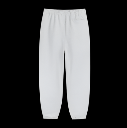 Nike X Stussy Pants Grey
