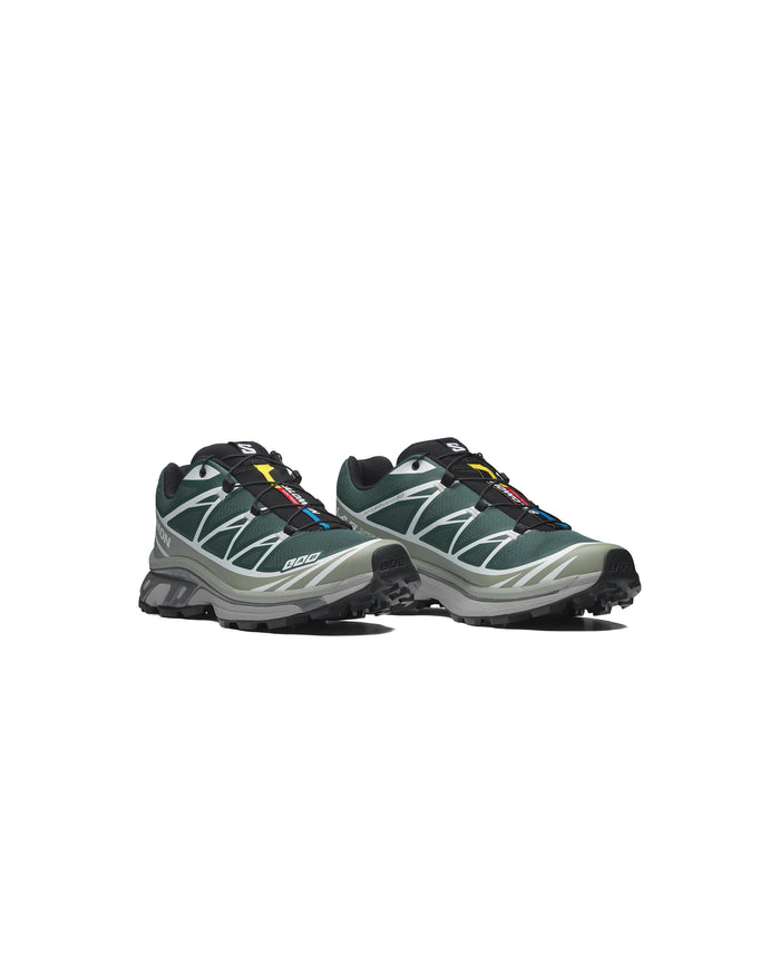 XT-6 Bistro Green