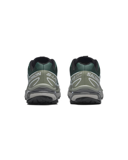 XT-6 Bistro Green