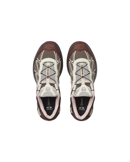 XT-Whisper Walnut Brown Vanilla