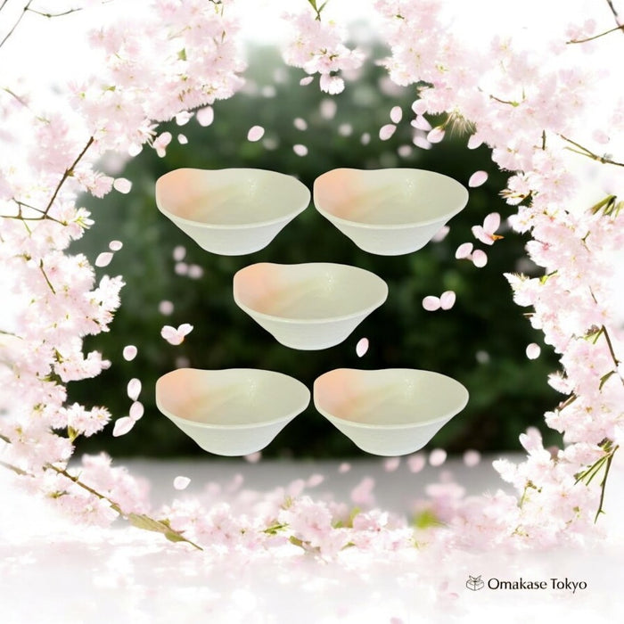 Yamaki Pottery Tonsui Minoyaki Plates set of 5