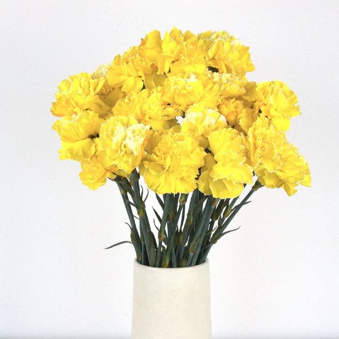 Carnation Flowers Yellow Enhanced Vase - Image